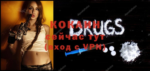 стафф Дмитриев