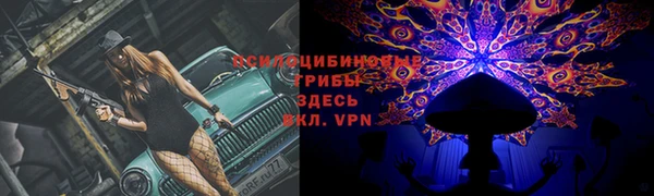 соль ск Дмитровск