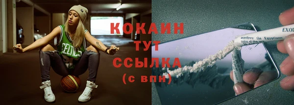 стафф Дмитриев