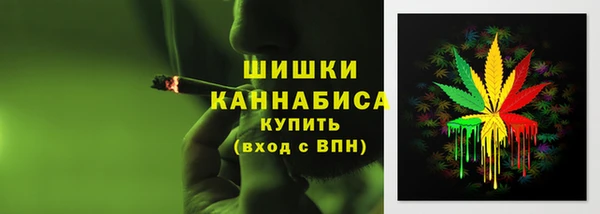 гидра Дмитров
