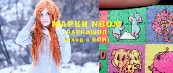 гидра Дмитров
