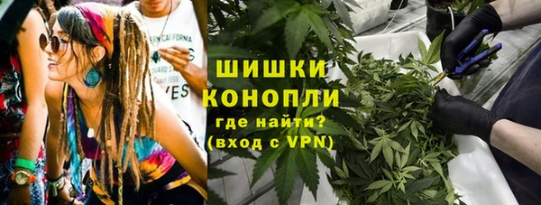 стафф Дмитриев