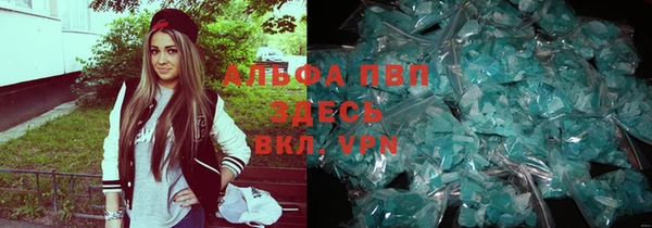 гидра Дмитров