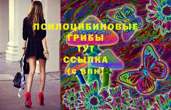 гидра Дмитров