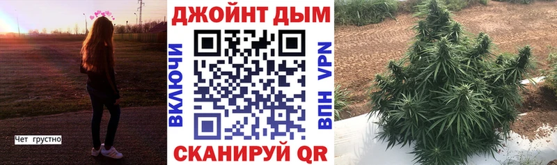 Купить где  Карабулак  Бошки Шишки MAZAR 